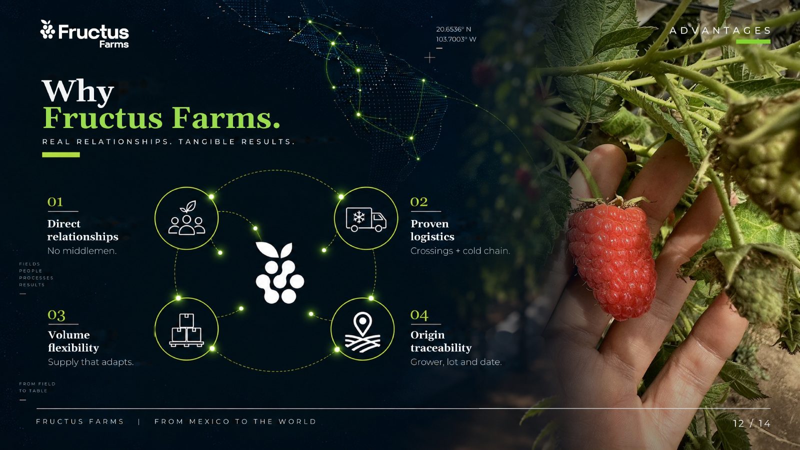 Fructus Farms, De México al mundo, lámina 12
