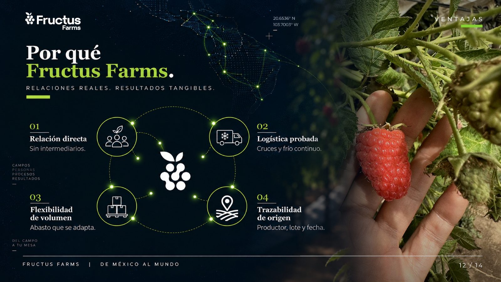 Fructus Farms, De México al mundo, lámina 12