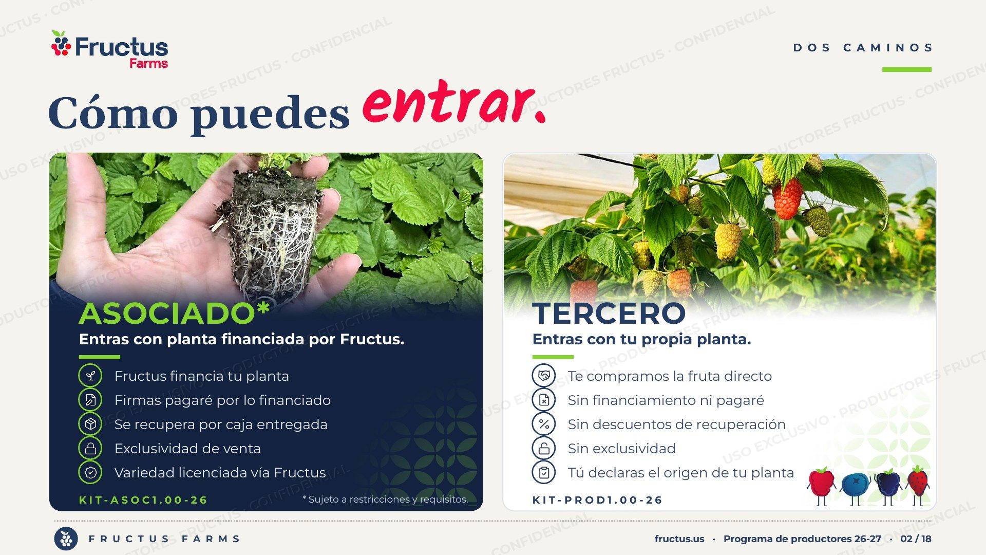 Programa de Productores, lámina 2