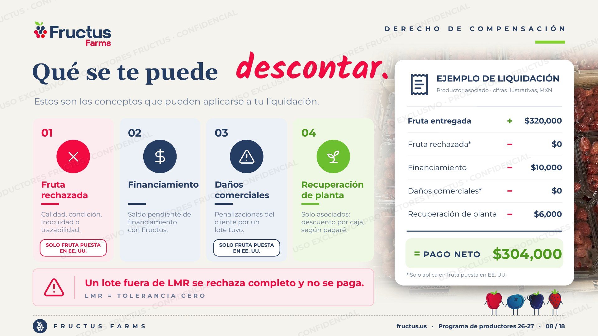 Programa de Productores, lámina 8