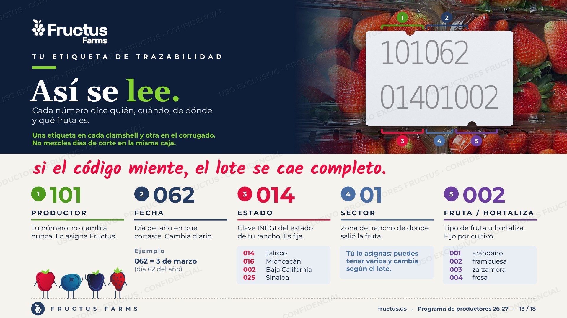 Programa de Productores, lámina 13