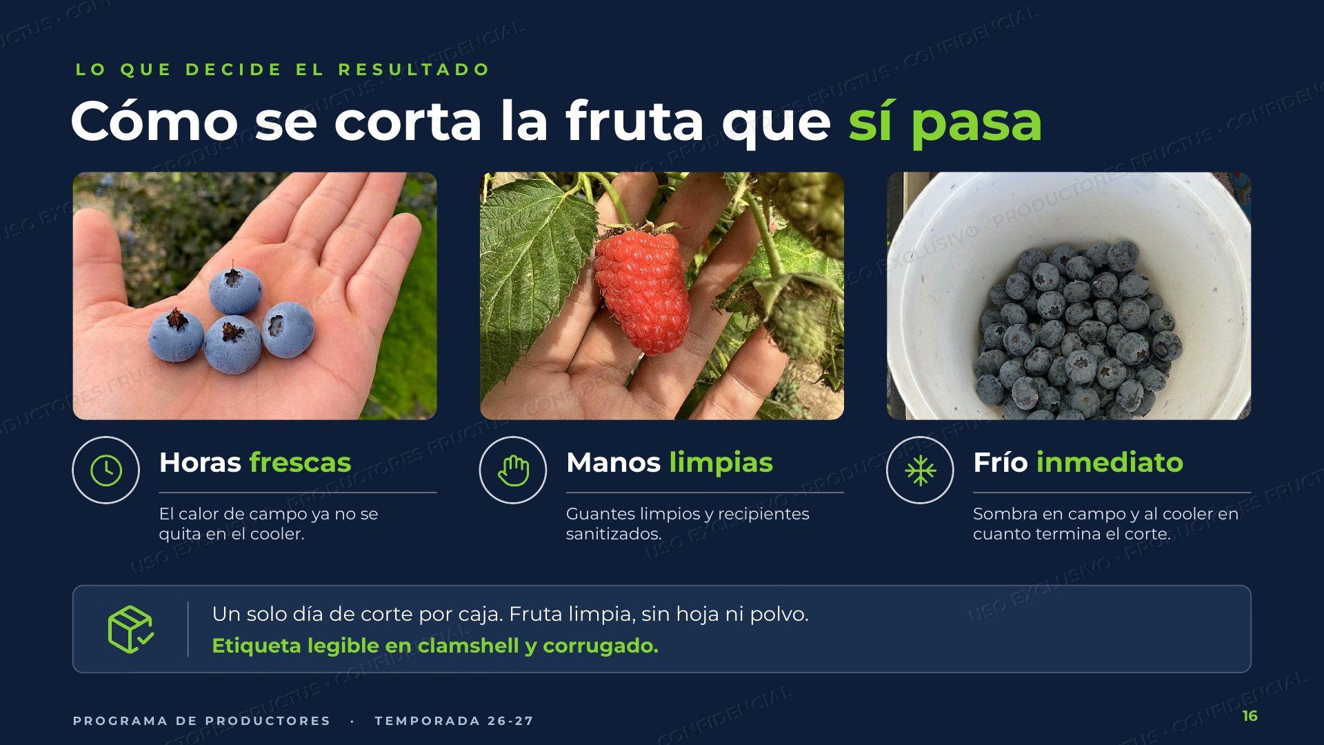 Programa de Productores, lámina 16
