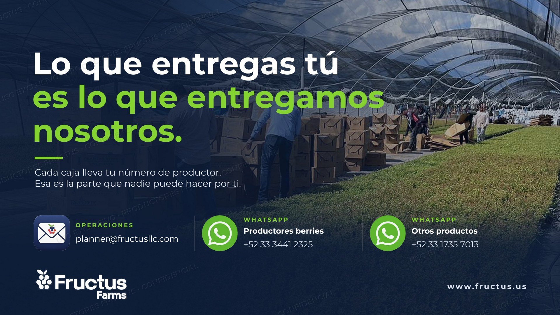 Programa de Productores, lámina 18